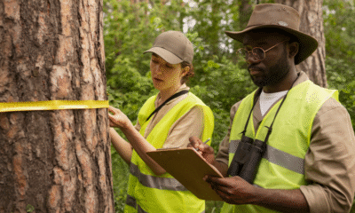 Forestry Development Authority