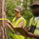 Forestry Development Authority
