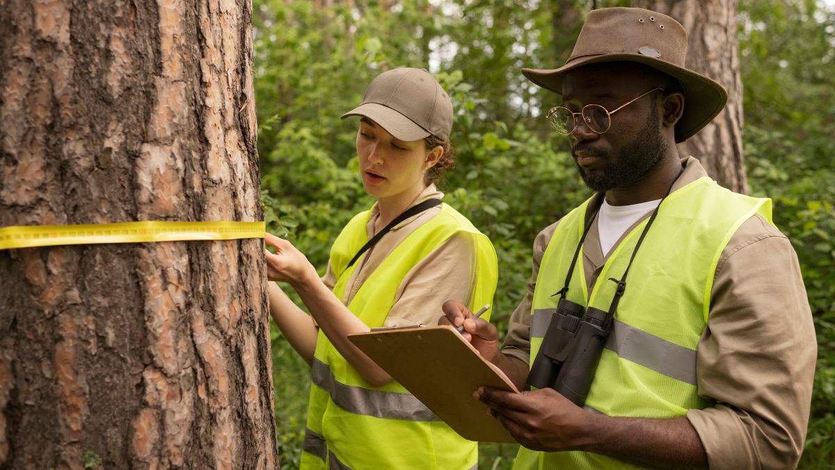 Forestry Development Authority