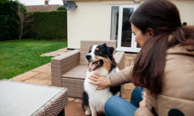 pet friendly apartments near me
